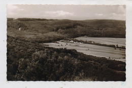 3257 SPRINGE Am Deister, Blick Auf Bielstein, 1957 - Springe