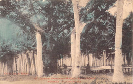 Nouvelle Calédonie - Nouméa - L'arbre Porche - Colorisé - Rare - Animé - Carte Postale Ancienne - Nueva Caledonia