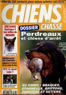 Chiens De Chasse N°99 Septembre 1997 - Infos - Armes - Champions - Photos Des Lecteurs - 3 Chiens Au Jour Le Jour - Doss - Autre Magazines
