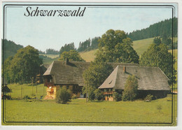 Schwarzwald, Baden-Württemberg - Autres & Non Classés