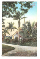 RARE BERMUDA SMITHS PARISH CHURCH Unused One Of Many Bermuda Cards Listed  Ref -02 Weiss & Co - Bermuda