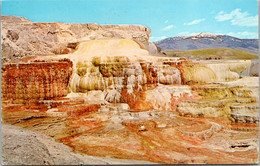 Yellowstone National Park The Terraces At Mammoth Hot Springs - USA Nationalparks