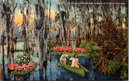 Florida Tampa Moss Festooned Lagoon At Dupree Gardens Curteich - Tampa