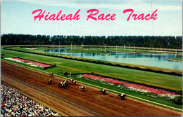 Florida Miami Hialeah Race Course Down The Stretch Horse Racing - Miami