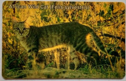 Namibia N$20 "  African Wild Cat ( NAEI - Normal Zero ) - Namibia