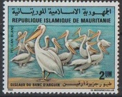 Mauritanie Mauritania - 1982 - 504 / 503 - Oiseaux - MNH - Mauritanie (1960-...)