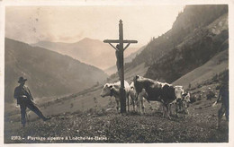 Loèche-les-Bains  - Leukerbad - Louèch-les-Bains Paysage Alpestre Crucifix Troupeau De Vaches Alpage 1933 Paysan Berger - Loèche