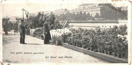 CPA  Carte Postale France  Paris   Petits Métiers Quai Aux Fleurs  VM63555ok - Petits Métiers à Paris