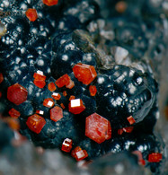 Mineral - Vanadinite Su Goethite (Taouz, Draa Tafilalet, Morocco) - Lot. 957 - Minéraux