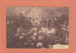 WOLUWE-SAINT-PIERRE - HORTICULTURE - ECOLE REEDUCATION PROFESSIONNELLE POUR SOLDATS INVALIDES - NEUVE - Woluwe-St-Pierre - St-Pieters-Woluwe