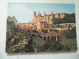 Cartolina Viaggiata "URBINO Panorama" 1985 - Urbino
