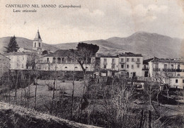 CANTALUPO NEL SANNIO - LATO ORIENTALE - CARTOLINA FG SPEDITA NEL 1973 - Isernia