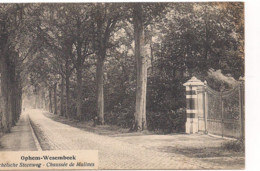 Belgique Carte Postale OPHEM-WESEMBEEK La Chaussée De Malines - Wezembeek-Oppem