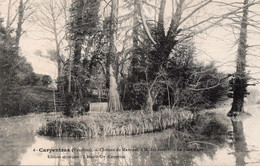 Carpentras  Château Du Martinet à M Des Isnards - La Pièce D'eau - Châteaux