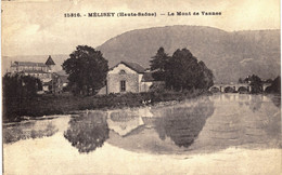 Carte POSTALE  Ancienne De MELISEY - Mont De Vannes - Mélisey