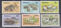 Tokelau N° 137 / 40 XX  Elevage,  La Série Des 6 Valeurs, Sans Charnière, TB - Tokelau