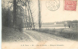 BOIS DE CHAVILLE - étang De Brisemiche - AD 16 - Chaville