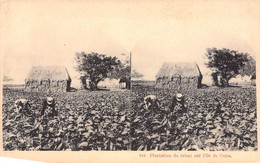 Cuba - Plantation De Tabac Sur L'île De Cuba - Animé - Précurseur - Carte Postale Ancienne - Cuba