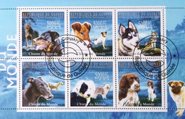 GUINEE Chiens, Chien, Dog, Dogs, Perro, Perros  6 Valeurs émises En 2009 Used, Oblitéré - Honden