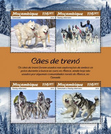 MOZAMBIQUE Chiens, Chien, Dog, Dogs, Perro, Perros  4 Valeurs émises En 2019 ** MNH Chiens De Traineaux - Chiens