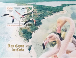 CUBA  Oiseaux, Oiseau, Birds, Pajaro.Cygne Bloc Feuillet, Non Dentele, Used, Oblitéré - Zwanen