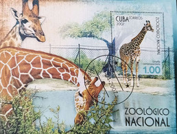 CUBA Girafe, Giraffe, Jirafa, Yvert BF 223, Used, Oblitéré Emis En 2007 - Giraffen