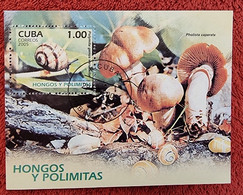 CUBA Champignons, Champignon, Mushrooms,  Escargot, Caracol 1 Bloc  Oblitéré (émis En 2005) Used - Champignons