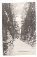 BERMUDA Kyber Pass Quarry éditeur Phoenix Drug Co Hamilton MORE BERMUDA LISTED REF 23 - Bermudes