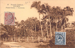 Nouvelle Calédonie - Nouméa - Pointe Chalex - Cocoteraie - Edit. E.E. - Palmier - Carte Postale Ancienne - Nouvelle-Calédonie