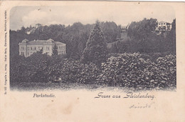 Gruss Aus GLEICHENBERG - PARKSTUDIE - 1900 , AUSTRIA - Bad Gleichenberg