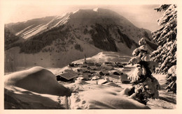 Berwang In Tirol Mit Hönig - Berwang