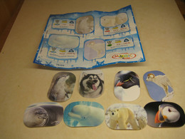 2012 Ferrero - Kinder Surprise - TR104 - Natoons - Stickers Polar Animals + BPZ - Monoblocchi