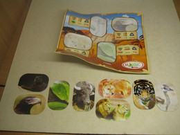 2013 Ferrero - Kinder Surprise - FT080 - Natoons - Stickers Animals + BPZ - Monoblocchi