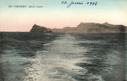 Cape Verde, St. VINCENT, Birds Island (1908) C.A.W. Grün Postcard - Cape Verde