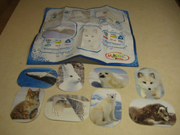 2012 Ferrero - Kinder Surprise - TR105 - Natoons - Stickers Polar Animals + BPZ - Monoblocchi