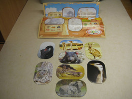 2013 Ferrero - Kinder Surprise - FT066 - Natoons - Stickers Animals + BPZ - Monoblocchi