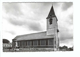 LUBBEEK  Kerk St Martinus - Lubbeek