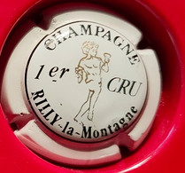 CAPSULE DE CHAMPAGNE RILLY LA MONTAGNE N° 19 - Rilly La Montagne