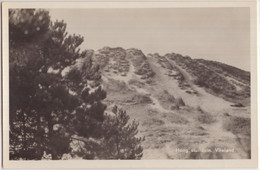 Hoog Stuifduin. Vlieland - (Wadden, Nederland/Holland) - Vlieland