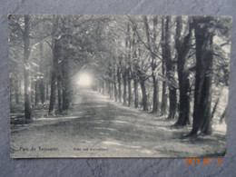 PARC DE TERVUREN ALLEE DES MARRONNIERS - Tervuren