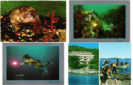 DIVING SPORT 13 Modern Postcards Pre- 1990 (L5718) - High Diving