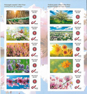 Belg. 2022 - Des Fleurs ** (mystamp - Contient 10 Timbres Valeur Non Prior) - Andere & Zonder Classificatie