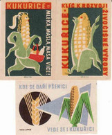 Czechoslovakia, Étiquettes De Boîte D'allumettes, Sweet Corn, Manufacturer Solo Lipník Solo Sušice - Zündholzschachteletiketten