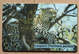 Rare Namibian Phonecard Leopard, CN-number With Normal Zero - Namibië