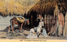 Amerique - CUBA - The Babies' Feeding Time - Cheval, Chèvre - Voyagé (voir Les 2 Scans) - Cuba