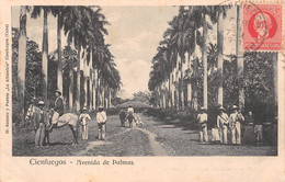 Amerique - CUBA - Cienfuegos - Avenida De Palmas - Cheval - Voyagé (voir Les 2 Scans) - Cuba
