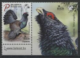 2020	Belarus	1334Tab	Birds - Colibris