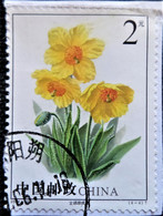 Chine 2004 Flowers - Translucent Poppy  Stampworld N°  3640 - Usados