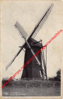 Molen Wampenberg - Arendonk - Arendonk