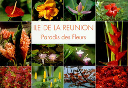 ILE DE LA REUNION . PARADIS DES FLEURS .    MULTI-VUES - Autres & Non Classés